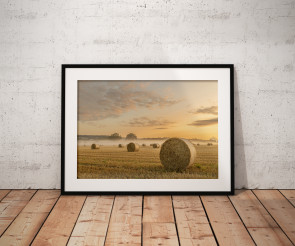 To buy a print or any of the below please click on the images